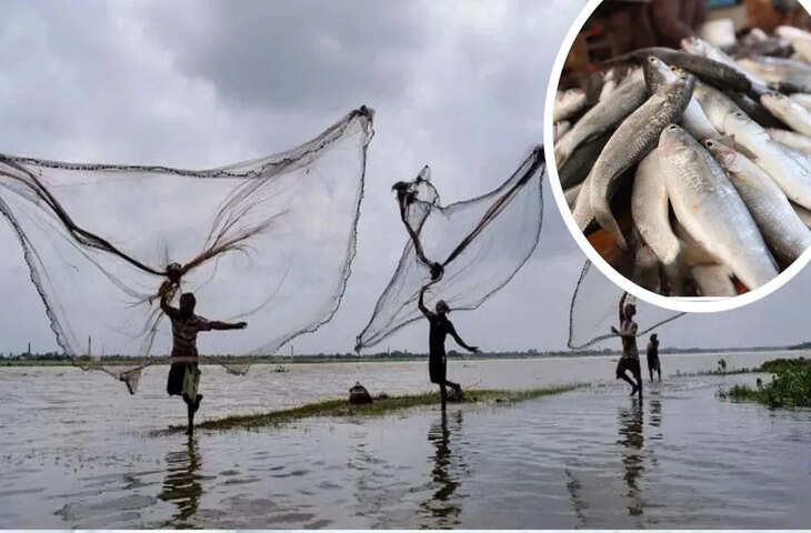 अब बिहार में नहीं खा सकेंगे मछली, नीतीश सरकार ने पकड़ने पर लगाया बैन, क्यों लेना पड़ा ये फैसला