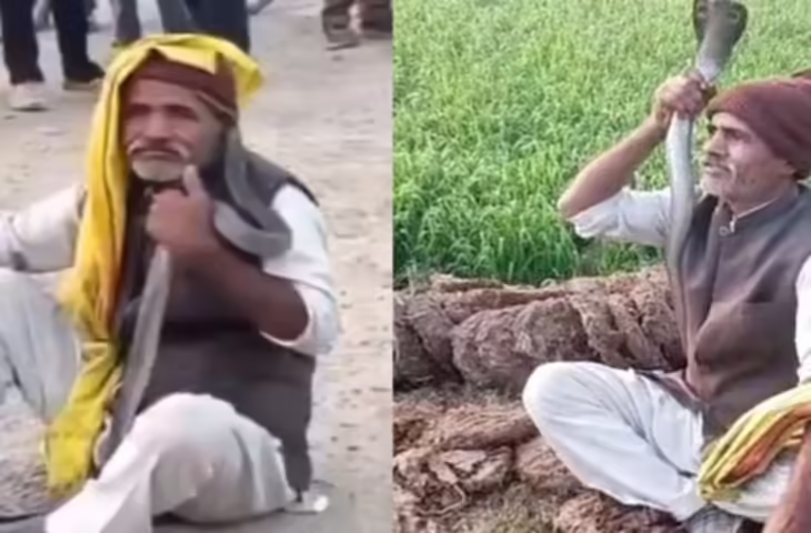 खौफनाक वीडियो! 6 फुट के कोबरा को गले में डालना पड़ा भारी, बुजुर्ग को सांप ने 3 बार डसा मौत