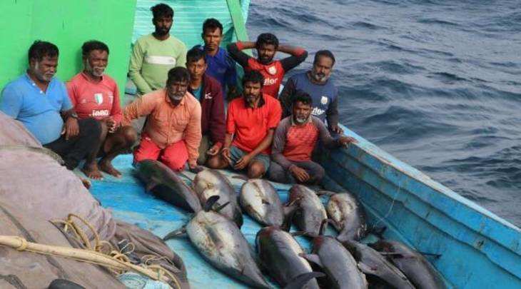 तमिलनाडु के ट्रॉलर पर 10 मछुआरे Gujarat में डॉल्फ़िन का 'शिकार' करते पकड़ें !