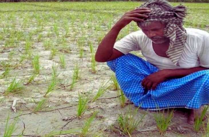 राजस्थान में भारी बरसात ने बढ़ाई आमजन, किसानों और प्रशासन की मुश्किलें, वीडियो में जानें 11 जिलों में रेड अलर्ट जारी