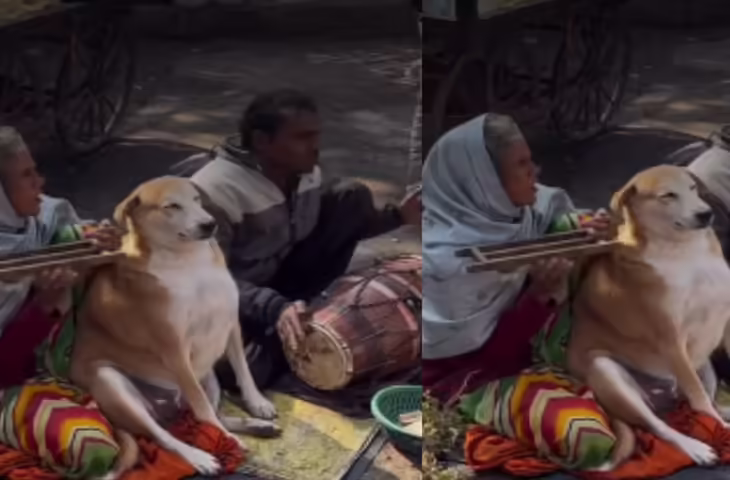 जब कुत्ता भी बन गया साधु! डोगेश भाई ने महिला के पास बैठकर किया सत्संग, वीडियो देख सोच में पड़े यूजर्स&nbsp;