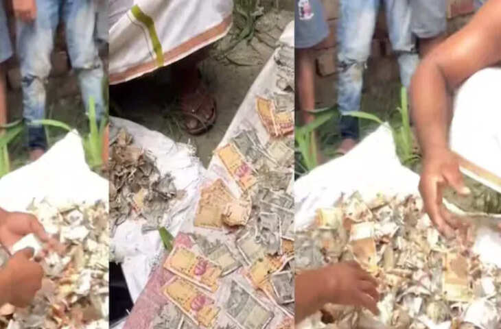 8 साल तक पति से छिपाकर जमा किए 12 लाख, ट्रंक खोला तो उड़ गए होश, सदमे में महिला! Viral Video