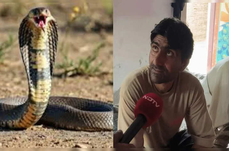जैसलमेर में दर्दनाक हादसा: सांप पकड़ने गए युवक को तीन बार डसा, वीडियो में जाने 8 दिन वेंटिलेटर पर रहने के बाद मौत