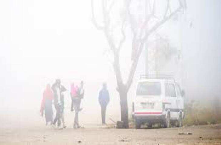 धुंध से ढका राजस्थान, 48 घंटों में 4 डिग्री तक लुढक सकता है पारा, 15 जिलो में घने कोहरे का अलर्ट