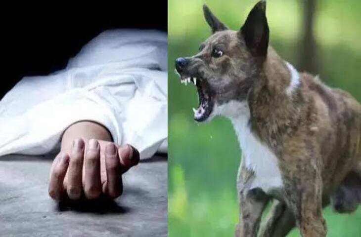Viral Video: कुत्ते के काटने को न करें नजरअंदाज, बागपत के किशोर में रेबीज के लक्षण दिखने का दावा