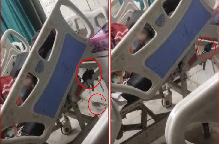 पहले इंदौर अब जबलपुर अस्पताल के ICU वार्ड में घूमते मिले चूहे&hellip; मरीज के परिजनों ने बनाया Video