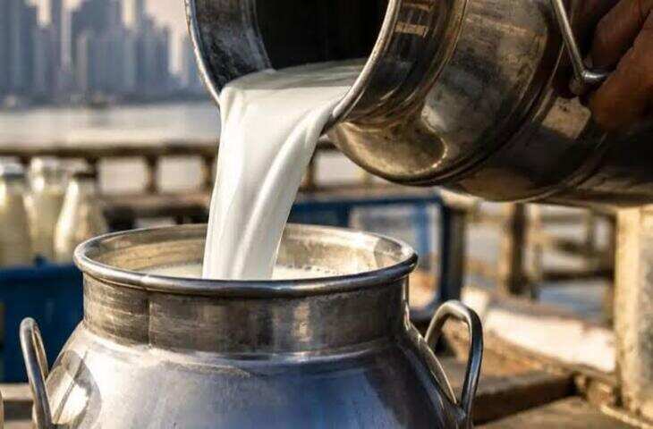 त्योहारों से पहले मुंबई में दूध महंगा, 1 सितंबर से ₹9 बढ़ेंगे दाम; वीडियो में जाने 102 प्रति लीटर होगा थोक रेट