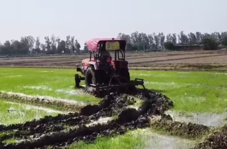 हरियाणा के करनाल में कृषि विभाग की बड़ी कार्रवाई, 7 एकड़ में खड़ी धान की फसल नष्ट