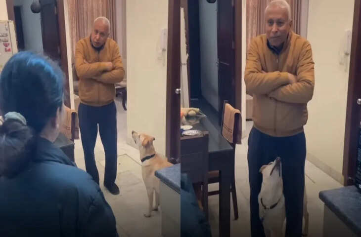 सोशल मीडिया पर जमकर वायरल हुआ डॉगी का ये प्यार भरा वीडियो, लोगों ने कहा - ‘दिल ही जीत लिया भाई'