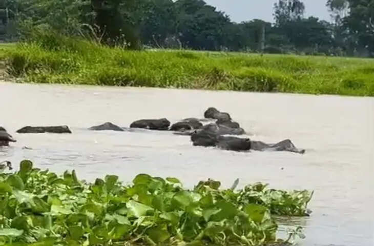 सीतापुर में शारदा-घाघरा नदियों का जलस्तर घटा, लेकिन बाढ़ का खतरा बरकरार; कटान ने बढ़ाई चिंता
