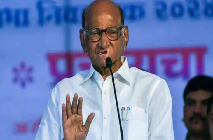 NCP (SP) के कांग्रेस में जाने की चर्चा क्यों हुई तेज? सुप्रिया सुले और रोहित पवार के जवाब ने बढ़ाया सस्पेंस​​​​​​​