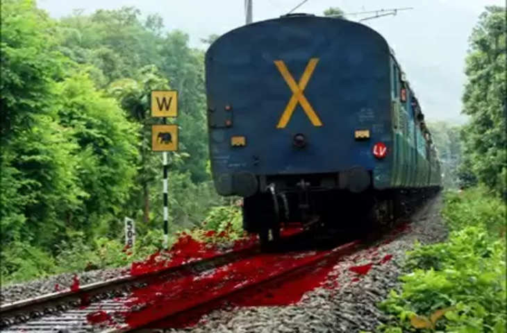 Madhya Pradesh के सागर में 3 दोस्तों की ट्रेन से कटकर मौत !