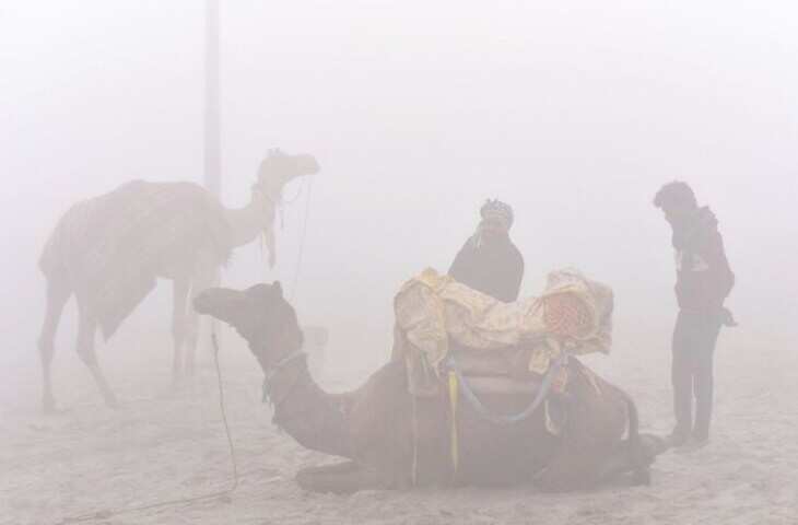 राजस्थान में शीतलहर का सितम, वीडियो में जानें शेखावाटी में पारा 2 डिग्री से नीचे, फसलों पर पाले का खतरा बढ़ा