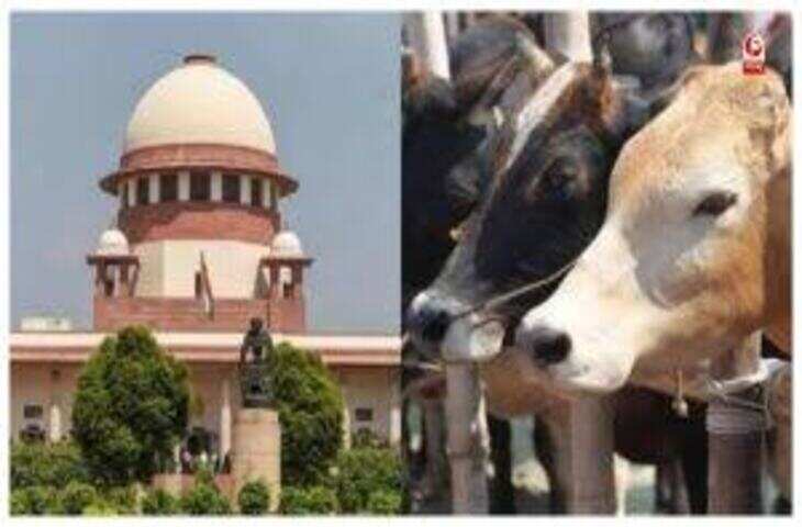 तमिलनाडु में गौहत्या पर पूर्ण प्रतिबंध के आदेश पर सुप्रीम कोर्ट की रोक, राज्य सरकार की याचिका पर आया फैसला