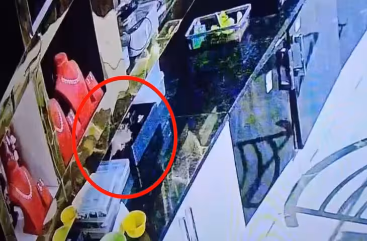 अनोखी चोरी का VIDEO वायरल! न कोई इंसान, न कोई सेंधमारी... चूहे ने उड़ाए लाखों के गहने