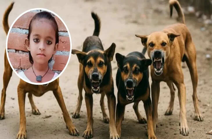 आवारा कुत्तों ने 8 साल की बच्ची को नोच-नोचकर मार डाला, खेत में मिला खून से लथपथ शव