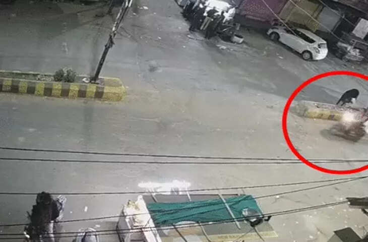 वायरल वीडियो में देखें टोंक में तेज रफ्तार थार ने स्कूटी सवार एमबीए स्टूडेंट को मारी टक्कर, हवा में उछलकर सडक पर गिरा छात्र