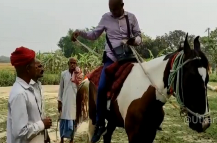 महंगे पेट्रोल के चलते घोड़े पर बैठकर बिजली का बिल वसूल रहा था कर्मचारी, विभाग ने की ऐसी कार्रवाई