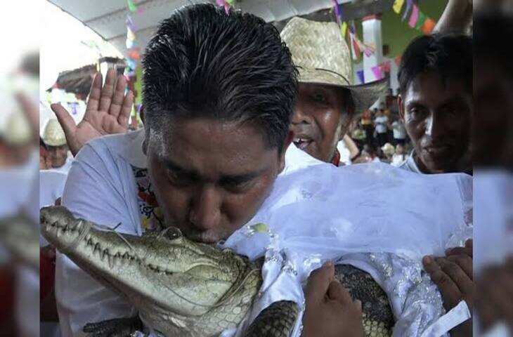 &ldquo;मेयर ने मगरमच्छ से शादी की&rdquo; &mdash; जानें सच्चाई क्या है