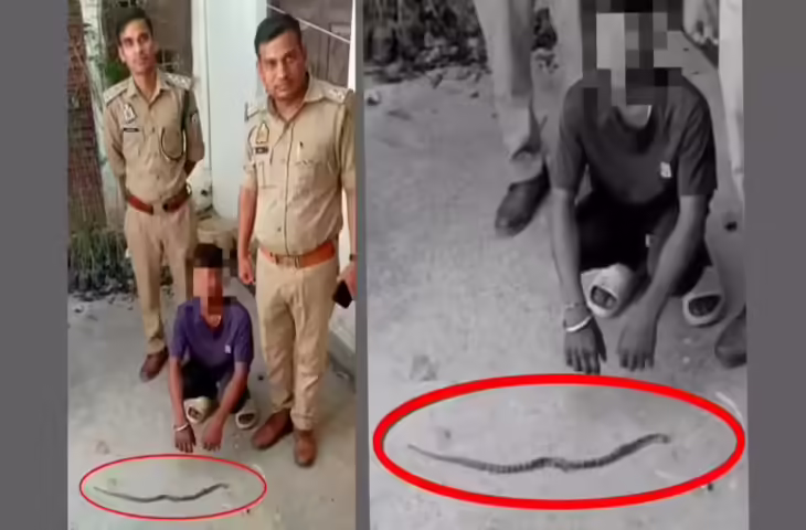 बलिया में किशोर द्वारा सांप को मारने का वीडियो वायरल, वन विभाग ने दर्ज किया मुकदमा