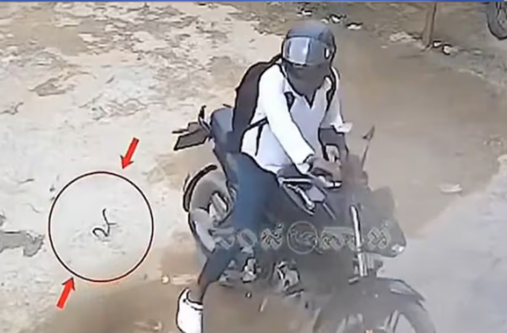 छेडोेगे तो निपटा देंगे...सांप को बाइक से कुचला तो किया पलटवार, डंसते ही युवक की निकल गई हवा, देखें Video