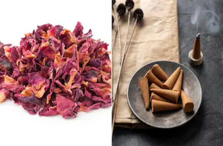 Eco-Friendly Dhoopbatti: घर पर सूखे फूलों से बनाएं सुगंधित धूप, जानें सामग्री और बनाने की विधि