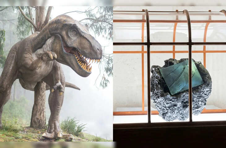 Dinosaur Handbag: 6 करोड़ साल पुराने जीव से तैयार हुआ बैग, कीमत इतनी कि सुनकर रह जाएंगे दंग