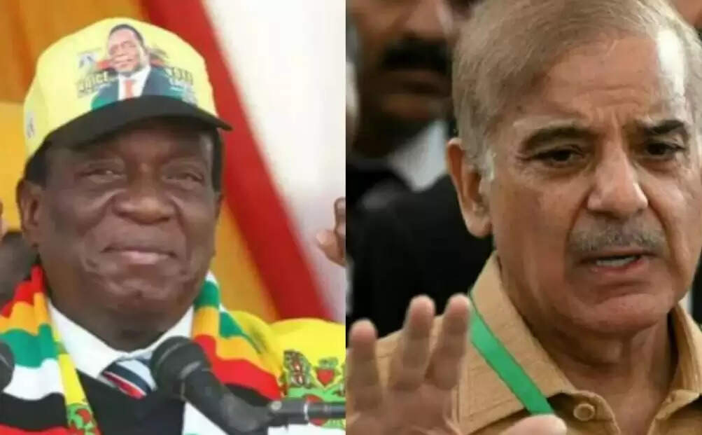 pm shehbaz sharif zimbabwe president-1-1111