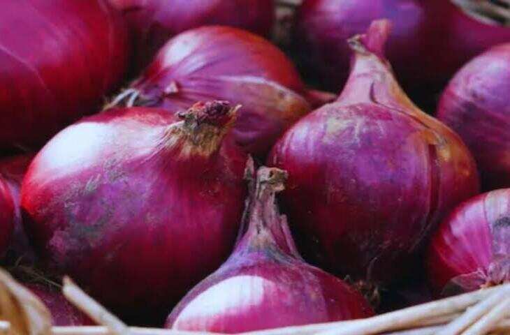 Onion Consumption: भारत नहीं, यह छोटा देश खाता है सबसे ज्यादा प्याज, आंकड़ा जानकर रह जाएंगे हैरान