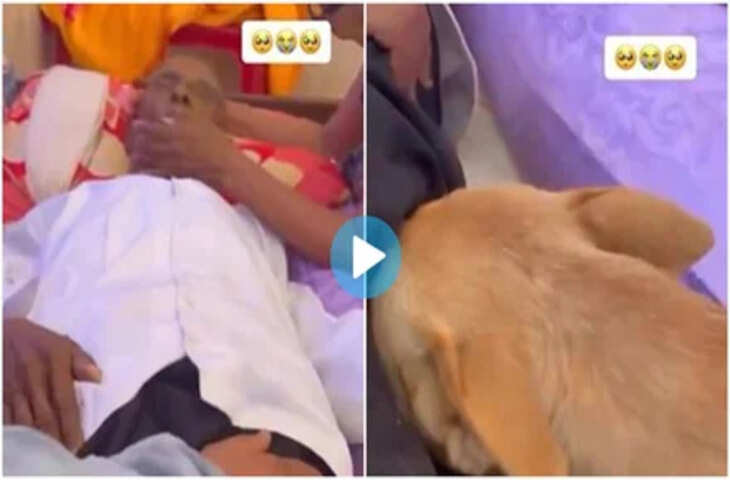 मालिक की आखिरी विदाई में कुत्ते ने छोड़ा नहीं साथ, सिर रखकर रोने लगा…वायरल वीडियो देख भर आएंगी आँखें 