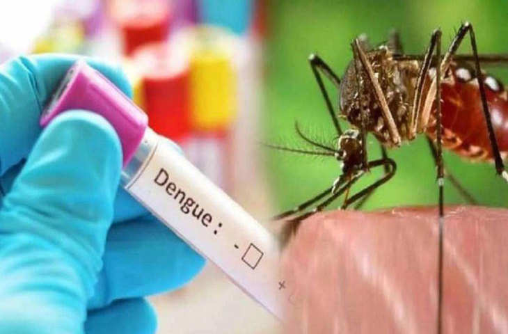 केवल भारत ही नहीं दुनिया के इन देशों में भी हाहाकार मचा चुका है डेंगू,जाने क्या हैं आंकड़ें 