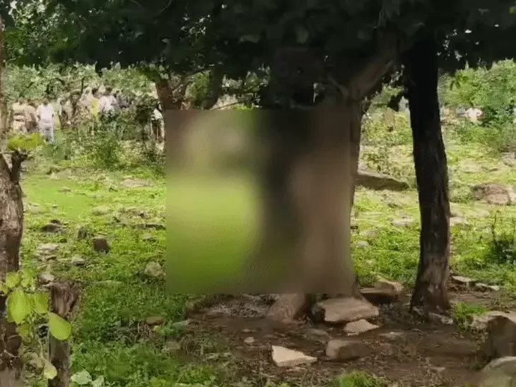 चंदेरी में पेड़ पर लटका मिला युवक का शव, 5 जुलाई से था लापता; पुलिस जांच में जुटी