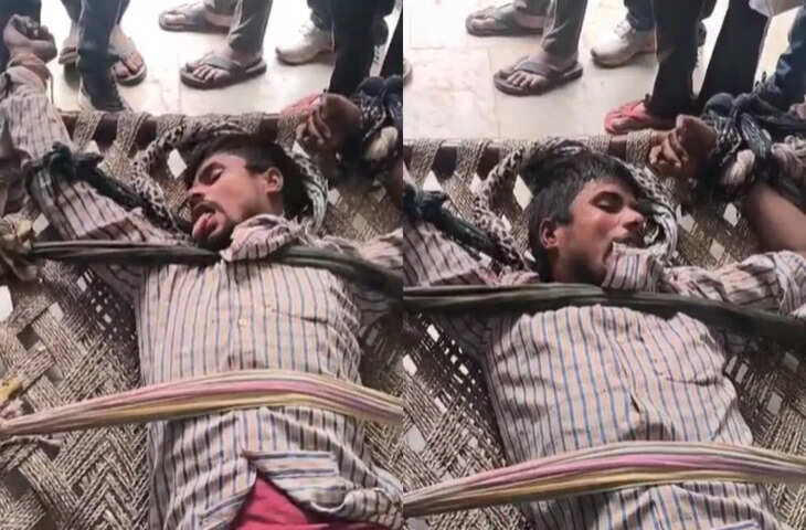 काटने के लिए दौड़ रहा, आवाज भी बदली&hellip; कुत्ते ने काटा, 18 घंटे बाद ही करने लगा अजीब हरकतें