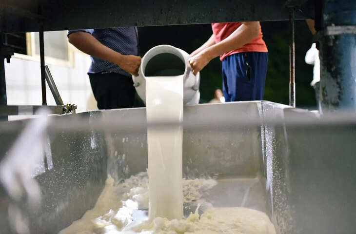 'डिटर्जेंट पाउडर, यूरिया, साबुन...' अंधेरी में पकड़ा गया नकली दूध का गोरखधंधा, Viral VIDEO देख आज से ही छोड़ देंगे पीना&nbsp;