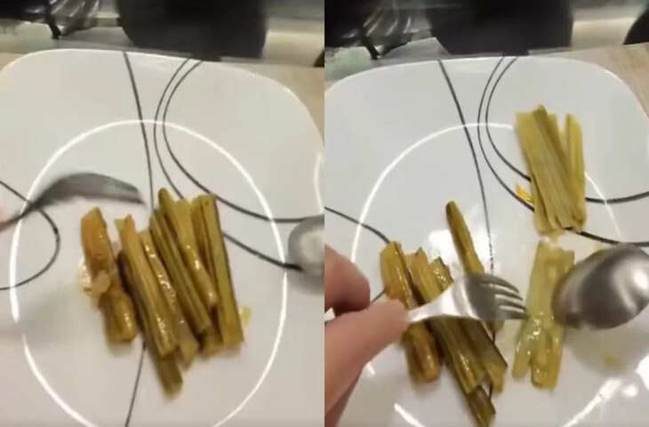 वायरल वीडियो ने मचाई हलचल, देखकर लोग बोले&mdash;&lsquo;कुछ तो कहना ही पड़ेगा!&rsquo;