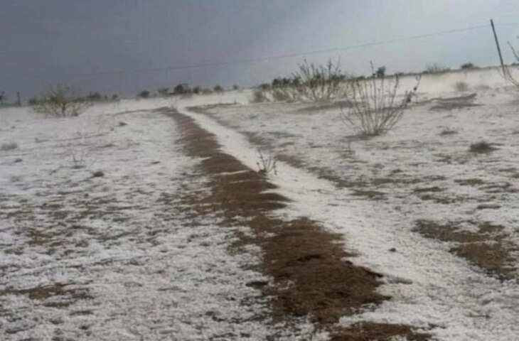 रामदेवरा में पश्चिमी विक्षोभ का असर, तेज आंधी-बारिश से जनजीवन प्रभावित, फसलों को नुकसान