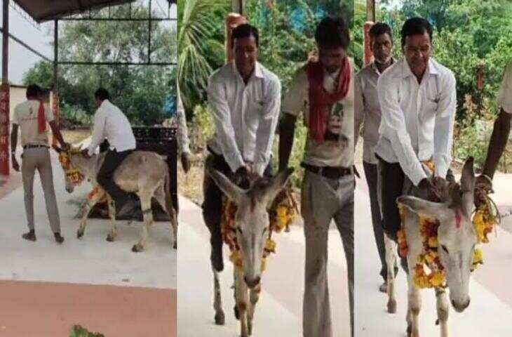 गधे पर बैठकर श्मशान की परिक्रमा, अनोखी परंपरा देखने उमड़ी लोगों की भीड़