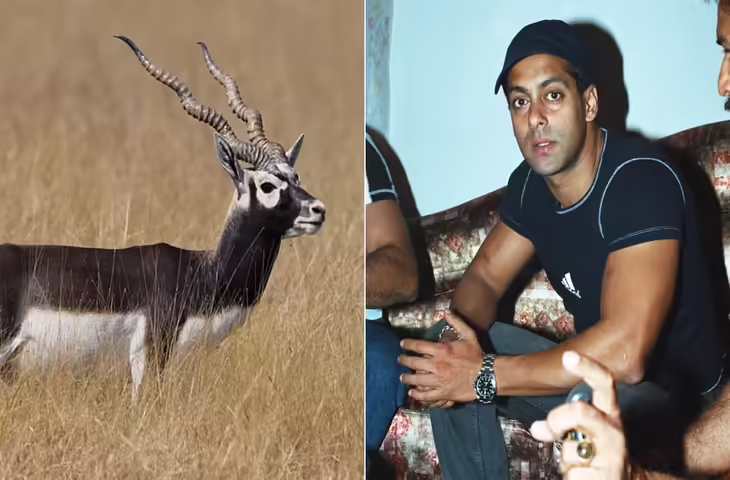 काला हिरण द बैटल फॉर लेगेसी' पर बढ़ा विवाद, वीडियो में जाने प्रोड्यूसर ने गोविंद नामदेव को भेजा लीगल नोटिस