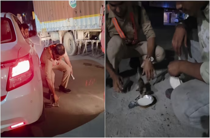 गाड़ी के नीचे छिपे नन्हे जीव पर पड़ी पुलिस जवान की नजर, तत्परता से बचाई जान; VIDEO वायरल
