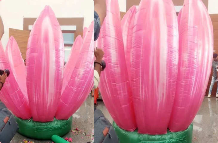 शादी में एंट्री का 'ब्लॉकबस्टर मोमेंट',कमल के अंदर से निकली ऐसी चीज, देख लोग बोले-फिल्मों को भी पीछे छोड़ दिया