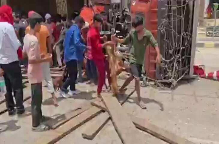 सड़क हादसे के बाद शर्मनाक नजारा, पलटे ट्रक से मुर्दा बकरे लूटती रही भीड़; वायरल वीडियो देख भड़के यूजर्स&nbsp;