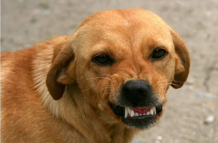 श्रीविजयनगर में व्यक्ति की संदिग्ध मौत, अस्पताल में उपचार के दौरान तोड़ा दम