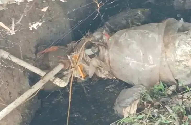 नरसिंहपुर के शंकर वार्ड में दो महीने से गंदे पानी की सप्लाई, सीवर लाइन के काम से पाइपलाइन फूटने का आरोप