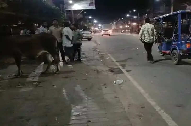 गोंडा में देर रात भीषण सड़क हादसा: कार&ndash;बाइक की आमने-सामने टक्कर, तीन गंभीर घायल, चालक हिरासत में