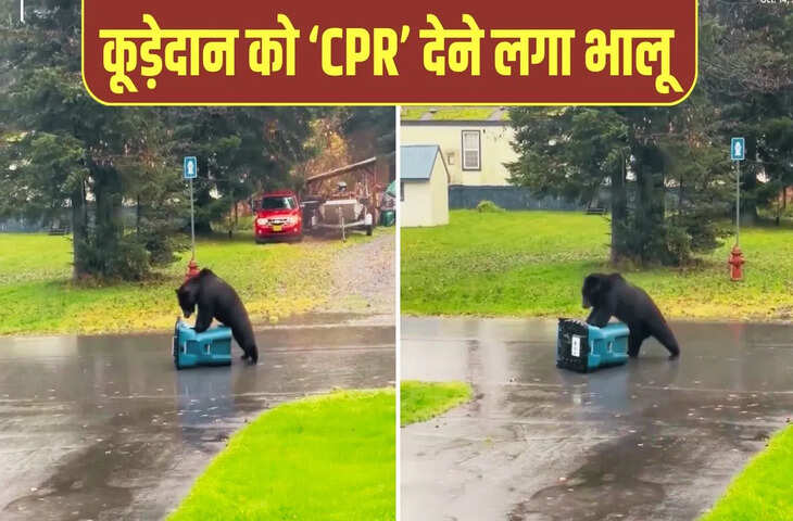 जब नहीं खुला कूड़ेदान, फिर भालू ने जो किया देख रोक नहीं पाएंगे हंसी, देखें VIDEO