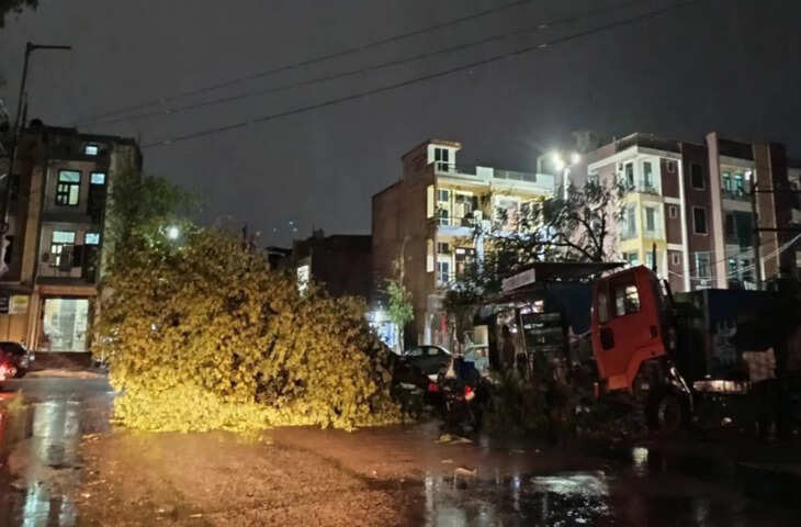 राजस्थान में मौसम का कहर जारी, कई जिलों में आंधी-बारिश और ओलावृष्टि, वीडियो में देंखे पेड़ गिरे और यातायात प्रभावित