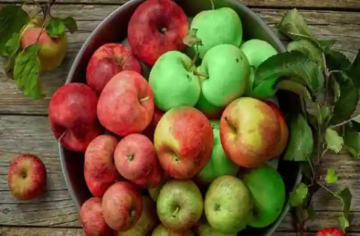 जाने लाल या हरा, दोनों में से कौन सा सेब है ज्यादा हेल्दी ? जाने दोनों में खास अंतर 