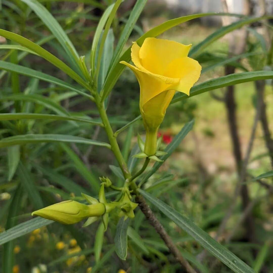 Astro tips for money 