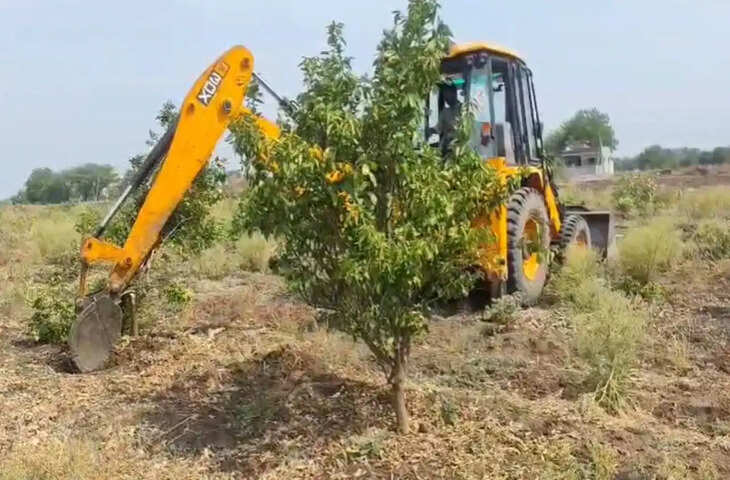 पानी के संकट ने उजाड़ा किसान का सपना! जालना में किसान ने जेसीबी से उखाड़ दी वर्षों पुरानी मौसंबी की बाग