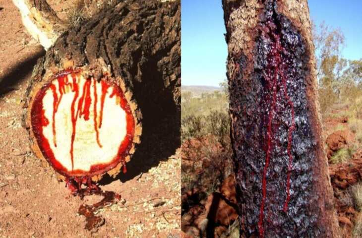 cccccccccccccccccccccccc